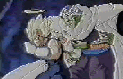 dbz2.gif