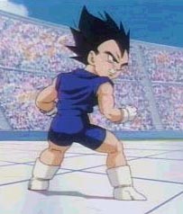 vegetajr5.jpg